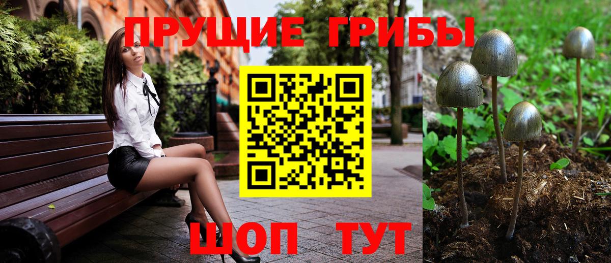 Заинск  Псилоцибиновые грибы GOLDEN TEACHER  Вход с VPN 