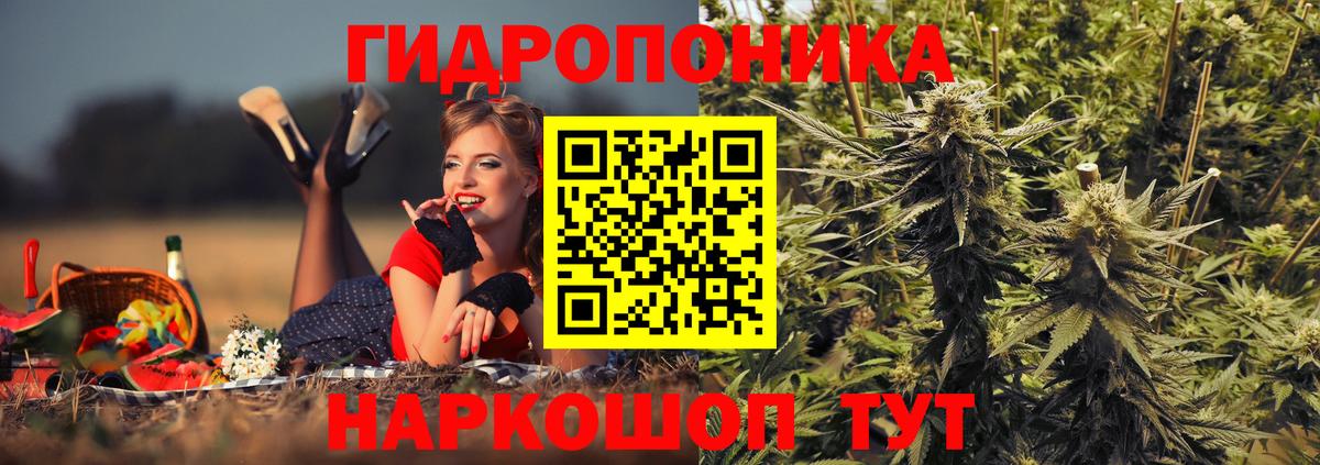 Заинск  Бошки марихуана семена  Канабис Ganja  МАРИХУАНА VHQ  Марихуана сатива  Вход с VPN 